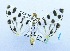  (Pycnarmon jaguaralis - USNM ENT 00731933)  @14 [ ] Unspecified (default): All Rights Reserved  Unspecified Unspecified