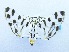  ( - USNM ENT 00731936)  @13 [ ] Unspecified (default): All Rights Reserved  Unspecified Unspecified