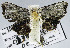  ( - USNM ENT 01012859)  @11 [ ] Unspecified (default): All Rights Reserved  Unspecified Unspecified