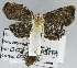  ( - USNM ENT 01012860)  @11 [ ] Unspecified (default): All Rights Reserved  Unspecified Unspecified
