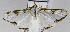  ( - USNM ENT 01175090)  @13 [ ] Unspecified (default): All Rights Reserved  Unspecified Unspecified