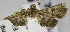  ( - USNM ENT 01175625)  @13 [ ] Unspecified (default): All Rights Reserved  Unspecified Unspecified
