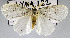  ( - USNM ENT 01178020)  @11 [ ] Unspecified (default): All Rights Reserved  Unspecified Unspecified