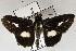  ( - USNM ENT 01178036)  @11 [ ] Unspecified (default): All Rights Reserved  Unspecified Unspecified