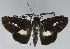  ( - USNM ENT 01178044)  @11 [ ] Unspecified (default): All Rights Reserved  Unspecified Unspecified