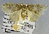  ( - USNM ENT 01178279)  @11 [ ] Unspecified (default): All Rights Reserved  Unspecified Unspecified