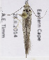 ( - USNM ENT 01200094)  @11 [ ] Unspecified (default): All Rights Reserved  Unspecified Unspecified