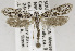  ( - USNM ENT 01200096)  @13 [ ] Unspecified (default): All Rights Reserved  Unspecified Unspecified