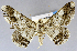  ( - USNM ENT 01373091)  @11 [ ] Unspecified (default): All Rights Reserved  Unspecified Unspecified