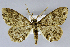  ( - USNM ENT 01373092)  @11 [ ] Unspecified (default): All Rights Reserved  Unspecified Unspecified