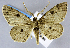  ( - USNM ENT 01373093)  @11 [ ] Unspecified (default): All Rights Reserved  Unspecified Unspecified