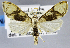  ( - USNM ENT 01373252)  @11 [ ] Unspecified (default): All Rights Reserved  Unspecified Unspecified