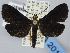  ( - USNM ENT 01373338)  @11 [ ] Unspecified (default): All Rights Reserved  Unspecified Unspecified