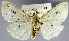  ( - USNM ENT 01373343)  @11 [ ] Unspecified (default): All Rights Reserved  Unspecified Unspecified