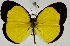  ( - USNM ENT 01374207)  @14 [ ] Unspecified (default): All Rights Reserved  Unspecified Unspecified