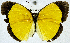  ( - USNM ENT 01374208)  @13 [ ] Unspecified (default): All Rights Reserved  Unspecified Unspecified