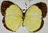  ( - USNM ENT 01374209)  @13 [ ] Unspecified (default): All Rights Reserved  Unspecified Unspecified