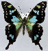  ( - USNM ENT 01374222)  @11 [ ] Unspecified (default): All Rights Reserved  Unspecified Unspecified