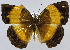  ( - USNM ENT 01374250)  @11 [ ] Unspecified (default): All Rights Reserved  Unspecified Unspecified