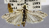  ( - USNM ENT 01374288)  @11 [ ] Unspecified (default): All Rights Reserved  Unspecified Unspecified