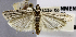  ( - USNM ENT 01374289)  @11 [ ] Unspecified (default): All Rights Reserved  Unspecified Unspecified