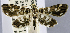  ( - USNM ENT 01374330)  @14 [ ] Unspecified (default): All Rights Reserved  Unspecified Unspecified