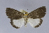  ( - USNM ENT 01374364)  @11 [ ] Unspecified (default): All Rights Reserved  Unspecified Unspecified