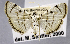  ( - USNM ENT 01374365)  @11 [ ] Unspecified (default): All Rights Reserved  Unspecified Unspecified