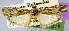  ( - USNM ENT 01374436)  @11 [ ] Unspecified (default): All Rights Reserved  Unspecified Unspecified