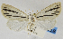  ( - USNM ENT 01374696)  @11 [ ] Unspecified (default): All Rights Reserved  Unspecified Unspecified