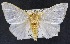  ( - USNM ENT 00799285)  @11 [ ] Unspecified (default): All Rights Reserved  Unspecified Unspecified