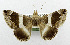  ( - USNM ENT 01067510)  @14 [ ] Unspecified (default): All Rights Reserved  Unspecified Unspecified