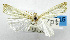  ( - USNM ENT 01067568)  @13 [ ] Unspecified (default): All Rights Reserved  Unspecified Unspecified