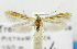  ( - USNM ENT 01068465)  @13 [ ] Unspecified (default): All Rights Reserved  Unspecified Unspecified
