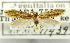  (Erechthias coprosoma - USNM ENT 01068472)  @11 [ ] Unspecified (default): All Rights Reserved  Unspecified Unspecified