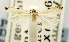 (Erechthias melanospila - USNM ENT 01068476)  @11 [ ] Unspecified (default): All Rights Reserved  Unspecified Unspecified