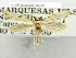 (Erechthias tritogramma - USNM ENT 01068498)  @11 [ ] Unspecified (default): All Rights Reserved  Unspecified Unspecified
