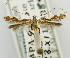  (Caloptilia hilaropis - USNM ENT 01068569)  @11 [ ] Unspecified (default): All Rights Reserved  Unspecified Unspecified