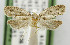  ( - USNM ENT 01068580)  @11 [ ] Unspecified (default): All Rights Reserved  Unspecified Unspecified