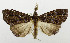  ( - USNM ENT 01068588)  @14 [ ] Unspecified (default): All Rights Reserved  Unspecified Unspecified
