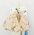  ( - USNM ENT 01068601)  @11 [ ] Unspecified (default): All Rights Reserved  Unspecified Unspecified