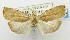  ( - USNM ENT 01068609)  @14 [ ] Unspecified (default): All Rights Reserved  Unspecified Unspecified