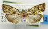  ( - USNM ENT 01068616)  @11 [ ] Unspecified (default): All Rights Reserved  Unspecified Unspecified