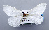  ( - USNM ENT 01069091)  @13 [ ] Unspecified (default): All Rights Reserved  Unspecified Unspecified