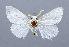  ( - USNM ENT 01069092)  @14 [ ] Unspecified (default): All Rights Reserved  Unspecified Unspecified