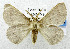 ( - USNM ENT 01069233)  @14 [ ] Unspecified (default): All Rights Reserved  Unspecified Unspecified