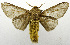  ( - USNM ENT 01069323)  @11 [ ] Unspecified (default): All Rights Reserved  Unspecified Unspecified