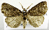  ( - USNM ENT 01069368)  @11 [ ] Unspecified (default): All Rights Reserved  Unspecified Unspecified