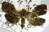  ( - USNM ENT 00799897)  @11 [ ] Unspecified (default): All Rights Reserved  Unspecified Unspecified