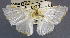  ( - USNM ENT 00796626)  @11 [ ] Unspecified (default): All Rights Reserved  Unspecified Unspecified